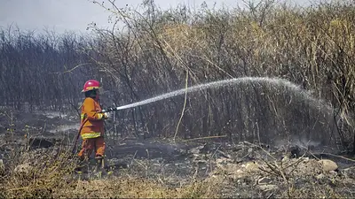 Incendios en Córdoba. Incendios en Córdoba.