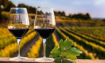 Ruta del Vino en Chilecito y Famatina: cuáles son las mejores bodegas | Turismo