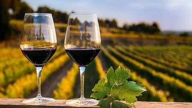 Ruta del Vino: la propuesta riojana para disfrutar de las mejores bodegas de la provincia