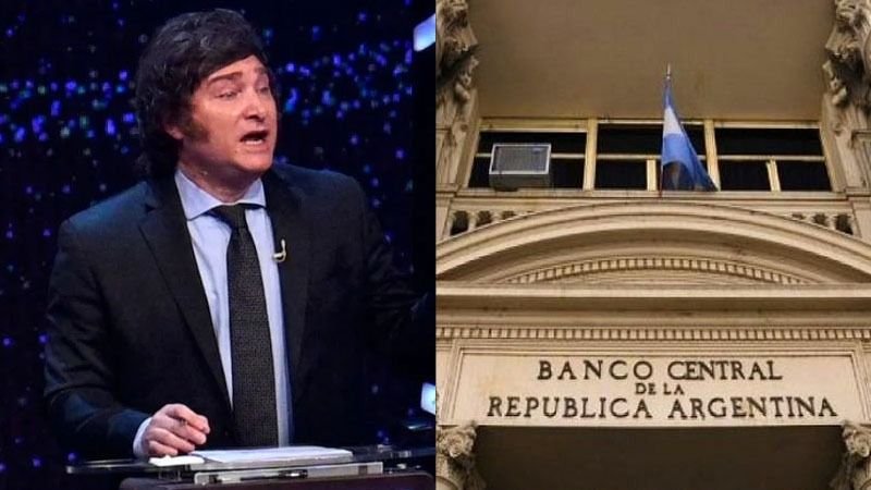 Por Qué No Le Renovaron La Pasantía A Javier Milei En El Banco Central ...