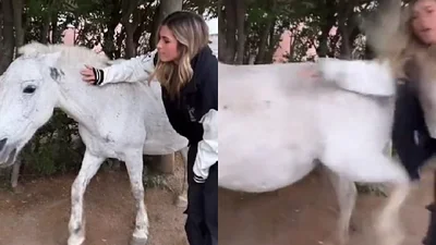 El video del caballo que le pegó una patada a Julieta Poggio El video del caballo que le pegó una patada a Julieta Poggio