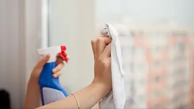 Consejos de limpieza Consejos de limpieza