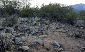 El camino Inca de La Rioja es el más grandes del país | El destape la rioja