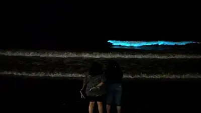Unas luces fosforecentes marinas sorprendieron en Villa Gesell y Pinamar: de qué se trata. Unas luces fosforecentes marinas sorprendieron en Villa Gesell y Pinamar: de qué se trata.