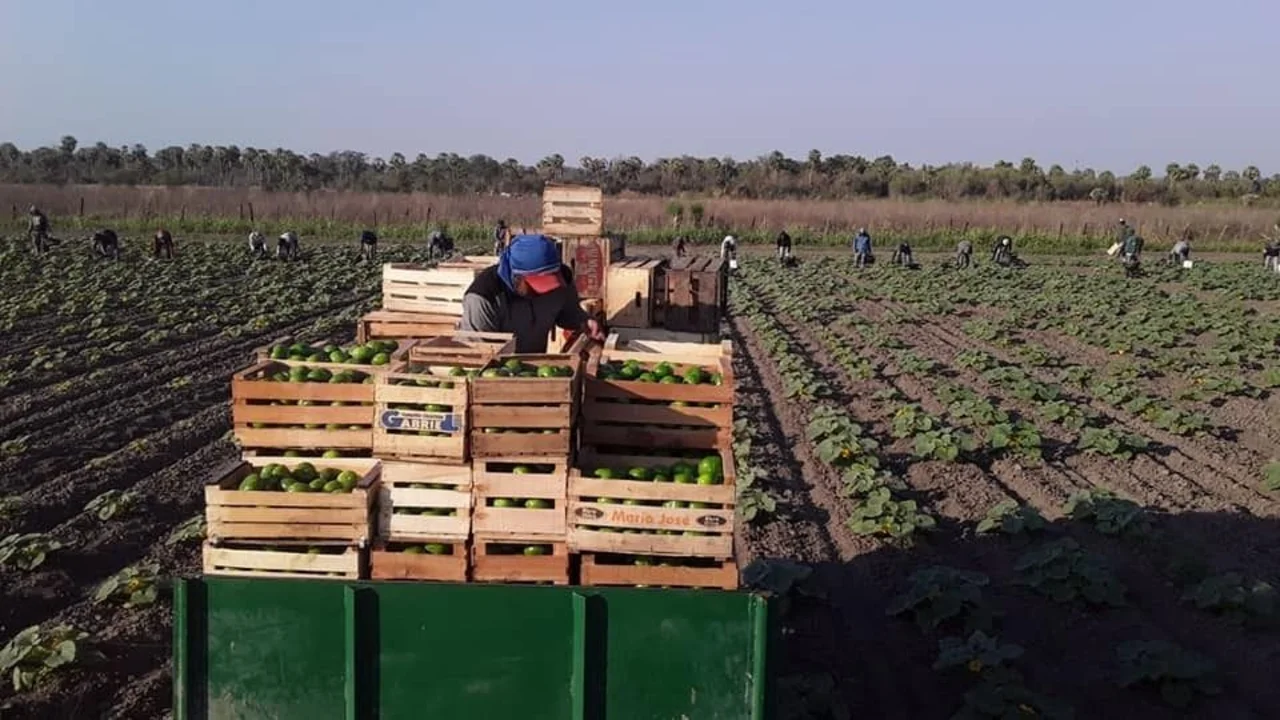 Histórico temporal en una provincia del Norte Argentino: consecuencias para algunas familias y alivio para otra