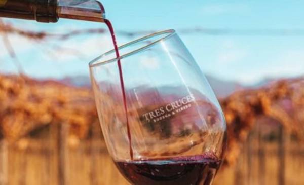 El Gobierno de La Rioja lanzó la Ruta del Vino Riojano con el objetivo de fortalecer el turismo