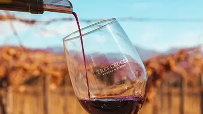 En noviembre, la venta de vino riojano bajó un 9,5% en el mercado nacional: todos los detalles En noviembre, la venta de vino riojano bajó un 9,5% en el mercado nacional: todos los detalles
