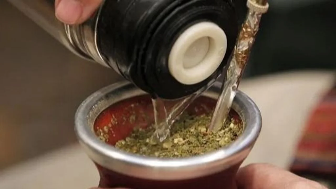 Mate