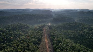Brasil se prepara para expulsar a mineros ilegales del oro de las tierras de Munduruku