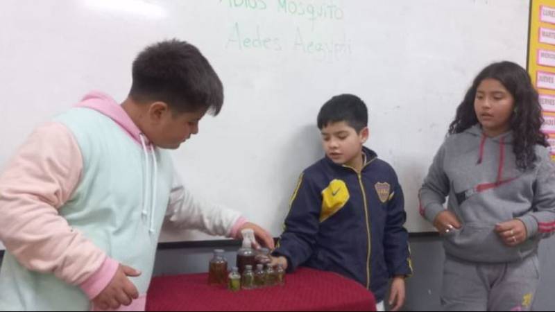 Escuadrón Anti-Dengue: el novedoso proyecto diseñado por estudiantes riojanos que busca combatir el dengue en la provincia