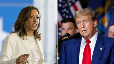 El presidente Donald Trump le retiró la seguridad personal del Servicio Secreto a Kamala Harris
