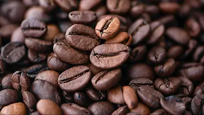 Café Geisha de Panamá Café Geisha de Panamá