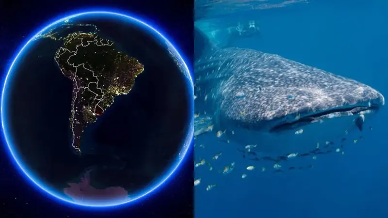 Mapa de Sudamérica y el pez más grande del mundo