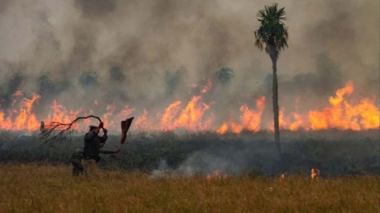 El cambio climático duplicó los incendios y preocupa su impacto creciente sobre la salud 