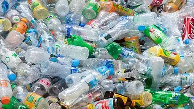 botellas, plástico, plantas, reciclaje botellas, plástico, plantas, reciclaje