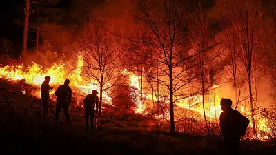 Incendios en Córdoba: condenaron a un hombre a tres años de prisión por comenzar un foco ígneo Incendios en Córdoba: condenaron a un hombre a tres años de prisión por comenzar un foco ígneo