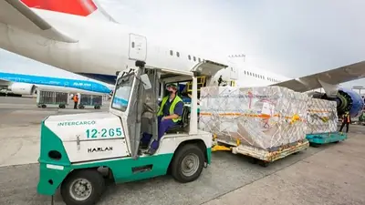 El Gobierno autorizó a una nueva empresa para competir con Intercargo por el servicio de rampa en aeropuertos El Gobierno autorizó a una nueva empresa para competir con Intercargo por el servicio de rampa en aeropuertos