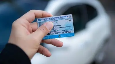 Licencia de conducir. Licencia de conducir.