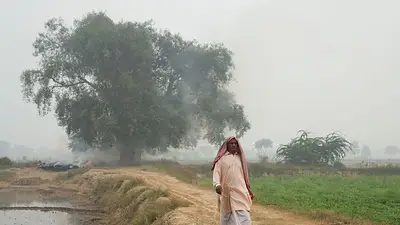 Pakistán prohíbe la entrada a parques y zoológicos al agravarse la contaminación atmosférica Pakistán prohíbe la entrada a parques y zoológicos al agravarse la contaminación atmosférica