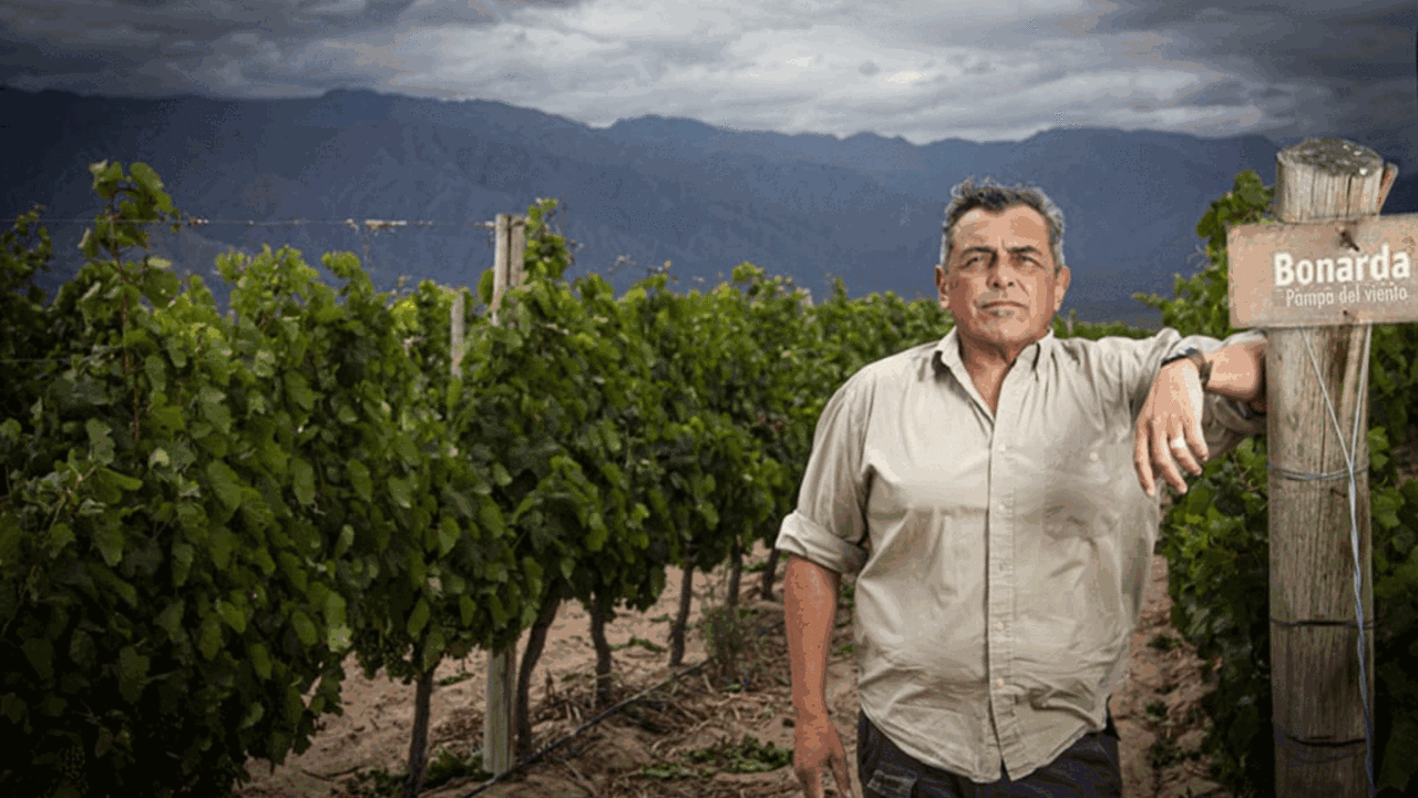 La bodega que se creó con el peronismo, dejó de producir en los 90 y reflotó gracias al Estado y un joven enólogo que falleció: hoy continúan respetando su legado