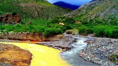 Río Río