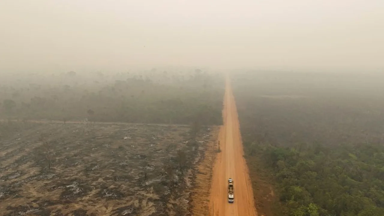 Emisiones mundiales de CO2 alcanzarán una cifra récord en 2024: informe