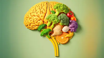 Alimentación cerebro Alimentación cerebro