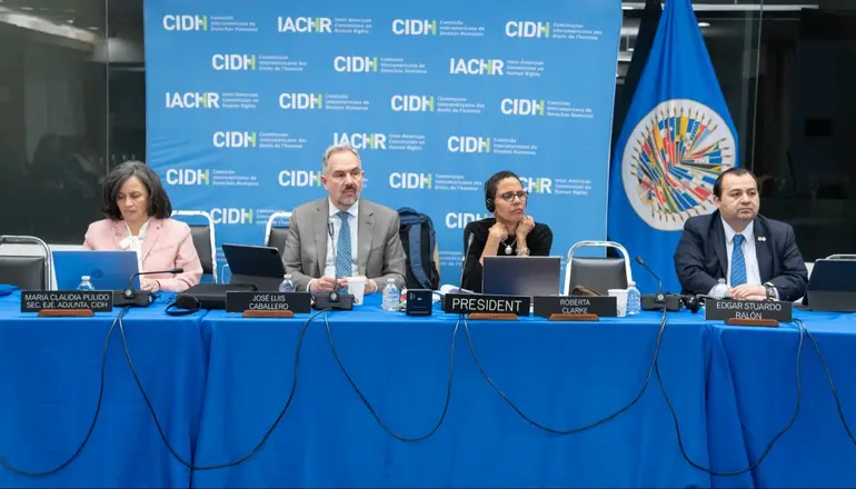 Violencia de género: la CIDH alertó al Gobierno de Milei por los recortes y la falta de polÃticas