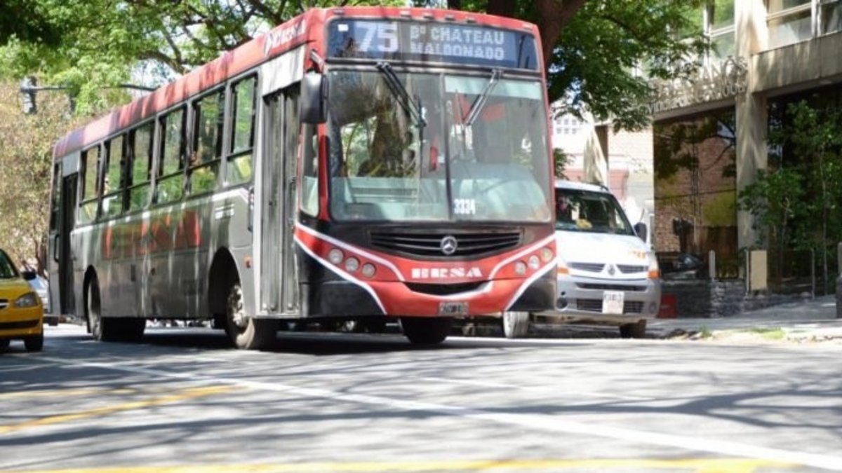 Aumenta el boleto de colectivos urbanos en la ciudad de Córdoba: cuáles ...