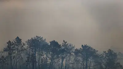 ¿Qué impuestos podrían ayudar a recaudar fondos para luchar contra el cambio climático? ¿Qué impuestos podrían ayudar a recaudar fondos para luchar contra el cambio climático?