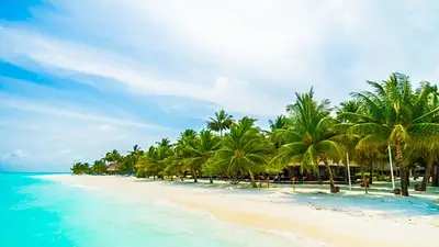 Que es la belleza de la naturaleza Que es la belleza de la naturaleza