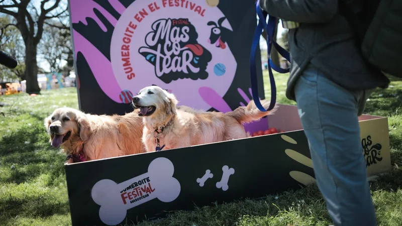 Festival Mascotear 2023. 