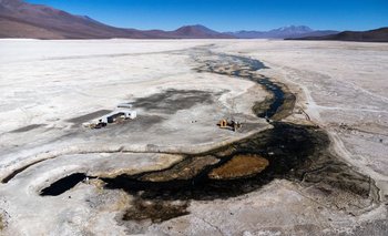 Pez sobrevive en medio de condiciones extremas en salar chileno | Ambiente