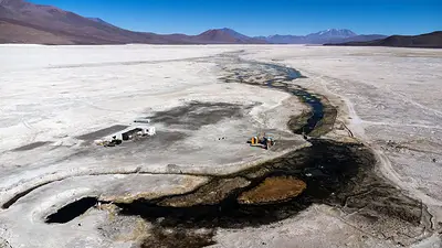 Pez sobrevive en medio de condiciones extremas en salar chileno Pez sobrevive en medio de condiciones extremas en salar chileno