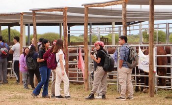 Concluyó exitosamente el tercer remate ganadero de Cabañas Riojanas | Remate ganadero