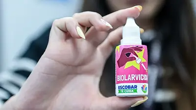 Dengue: el Municipio de Escobar distribuye un biolarvicida para eliminar larvas del mosquito Dengue: el Municipio de Escobar distribuye un biolarvicida para eliminar larvas del mosquito