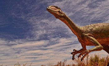 Increíble descubrimiento en Talampaya: encontraron nuevos fósiles | Paleontología