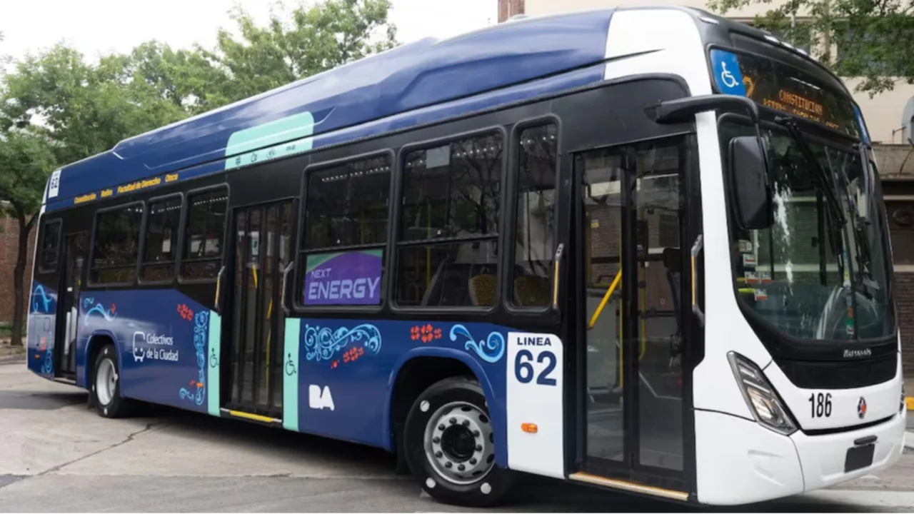Colectivo