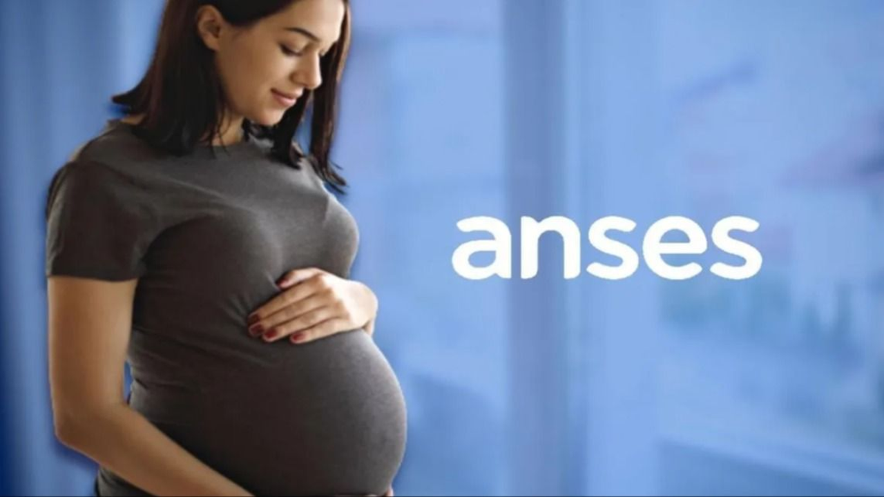 ANSES