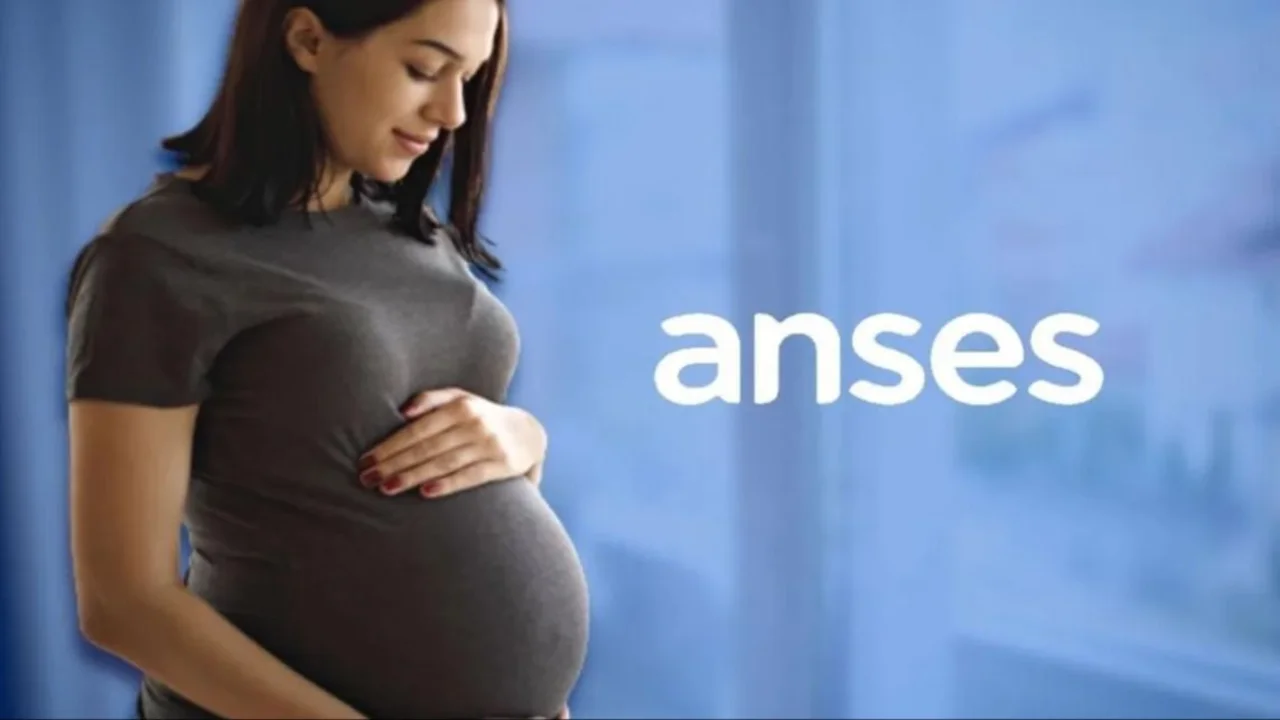 ANSES
