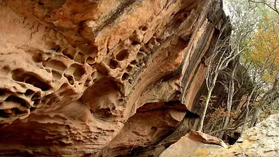 Qué pasó con el destino de Córdoba en donde se pueden ver artes rupestres. Qué hacer en la Reserva Natural Cerro Colorado. Qué pasó con el destino de Córdoba en donde se pueden ver artes rupestres. Qué hacer en la Reserva Natural Cerro Colorado.