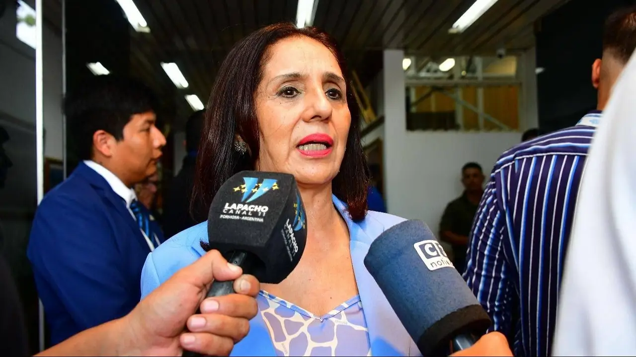 Formosa va por todo en el Congreso: De La Rosa adelantó que no respaldará retrocesos sociales ni la reforma laboral de Milei