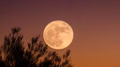 Superluna del Castor: qué es y cuándo se dará el importante fenómeno Superluna del Castor: qué es y cuándo se dará el importante fenómeno