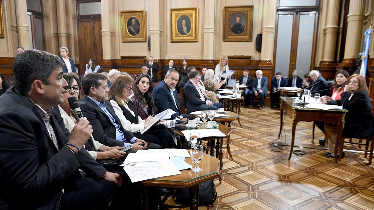 La reforma de los DNU puede volver al Senado: cuándo se tratará | El ...