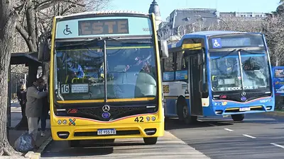 Por qué van a cambiar el sistema de micros en La Plata. Por qué van a cambiar el sistema de micros en La Plata.