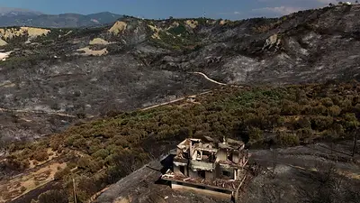 Incendios forestales y alza de temperaturas ponen en peligro los bosques del hemisferio norte: ONU Incendios forestales y alza de temperaturas ponen en peligro los bosques del hemisferio norte: ONU