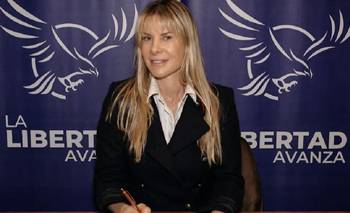 Reinchardt admitió que no leyó la Constitución ni el reglamento de Diputados: "Tedioso" | La libertad avanza