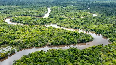 Amazonas Amazonas