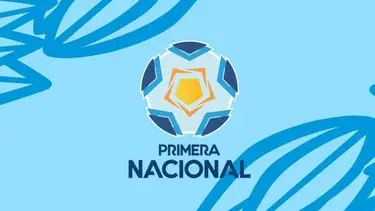 Por un lugar en la Liga Profesional: ¿Cómo quedó el reducido de la Primera Nacional?