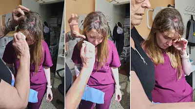 Acusó a la veterinaria de matarle sus conejos y la atacó con una tenaza: el violento episodio en Córdoba Acusó a la veterinaria de matarle sus conejos y la atacó con una tenaza: el violento episodio en Córdoba